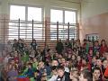 wiosna 009